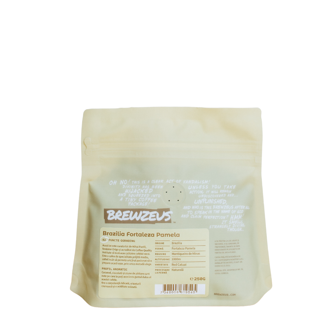 Brazilia Fortaleza Pamela