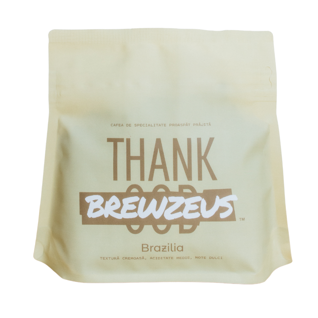 Brazil <strong>Fortaleza Pamela</strong>