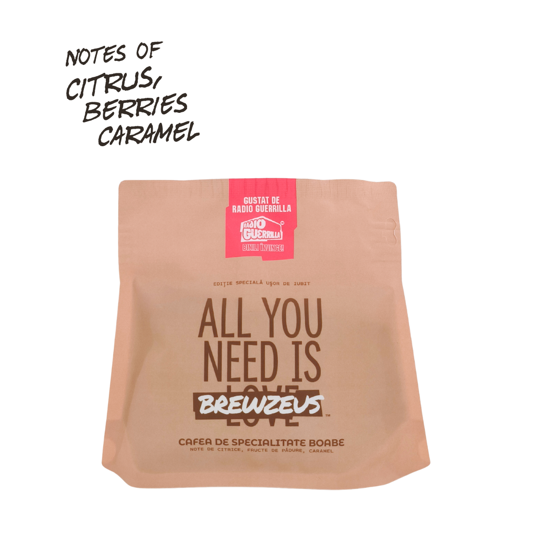 Brewzeus x Radio Guerrilla Blend